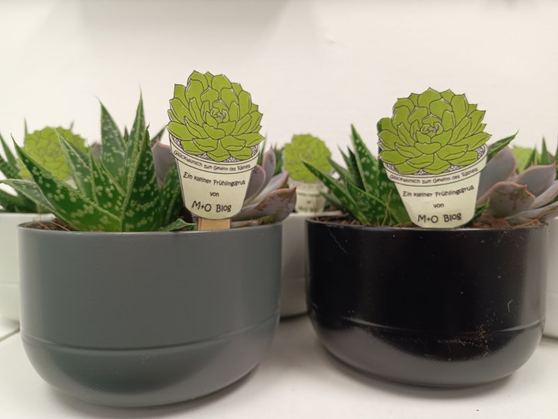 IMG 20260409 072218 470 v2