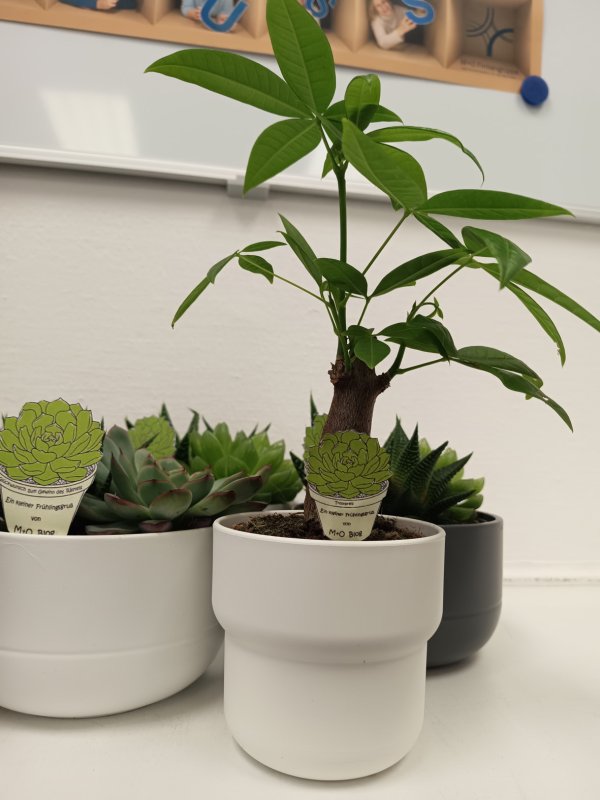 IMG 20260409 072314 995 v2